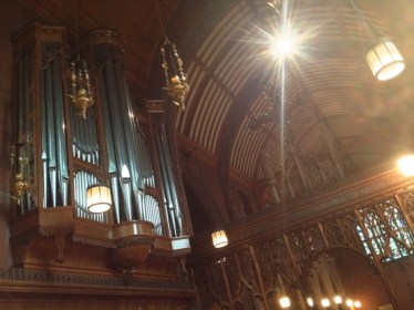ORGAN